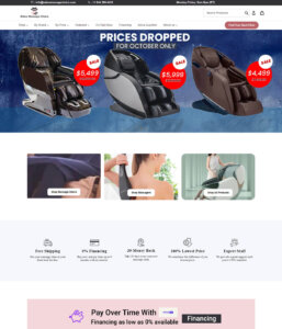 zebramassagechairs